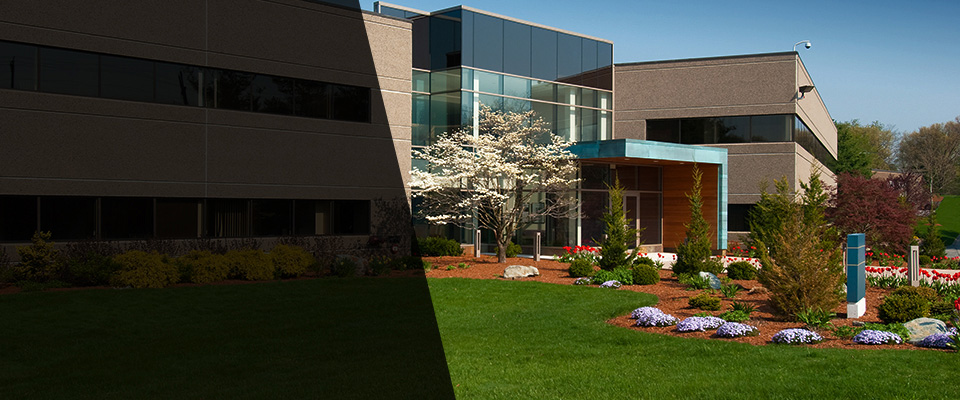 Ash Grove Landscapers