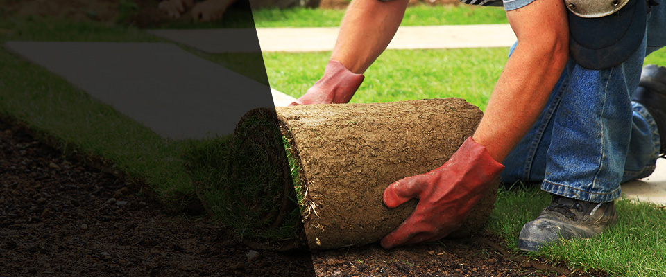 Ash Grove Landscapers